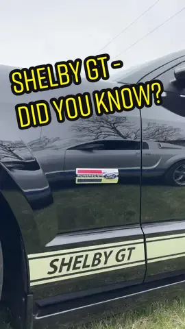 2007 Shelby GT #shelby #shelbygt #cartok #TikTokPromote #fyp #foryou #shelbyamerican #carscene #tristarfords @tristarfords 
