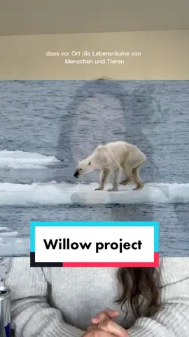 ‼️KORREKTUR: es sind 600 Mio Barrel (us einheit) Öl, nicht Tonnen. Entspricht ca 95 Milliarden Liter Öl. Hab mich versprochen, sorry‼️ STOPPT DAS #willowproject !!!  #klimaschutz #umweltschutz 