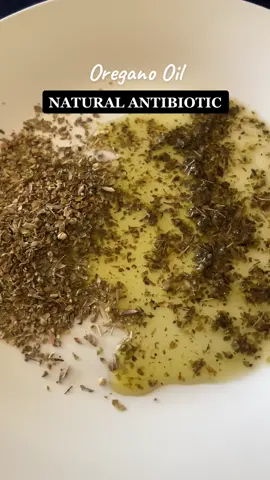 ✨Really is one powerful antibiotic #naturalantibiotic #oreganooil #oregano #antibacterial #antifungal #naturalremedy #oreganoleaves #herbalism #immunesystem #fypシ remember to do your own research before using