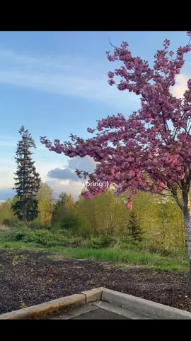 2 days left until spring☺️💐🎧🍃💌🌷 #spring#greenscreen 