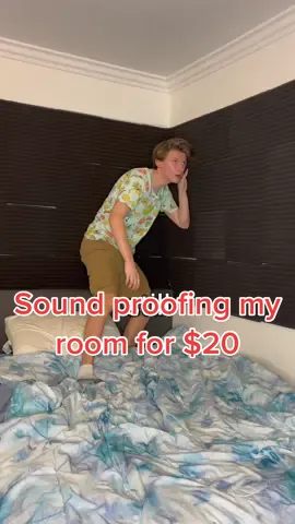 How to soundproof your room for $20…