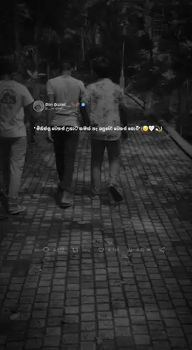යාලුවෝ වෙනස් නොවී 😌👍#CapCut#mr____sithala🥶 #___mr_sithala🥶 #foryoupage #onemilionaudition #goviral #කඩවත_අපි❤️👊 #fypシ 