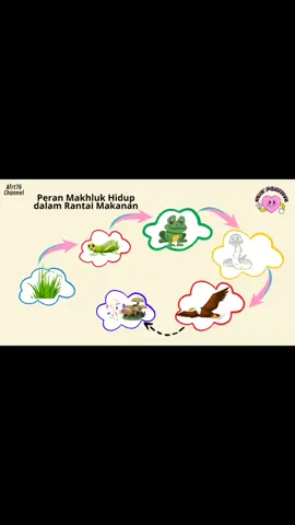Peranan Makhluk Hidup dalam Rantai Makanan #rantaimakanan #belajaronline 