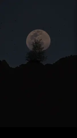 الصمـــت أيضا له صوت .. لكنه بحاجـــة الى روح تفهمـــه ..♡
