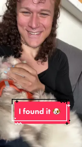 I found his weakness 🐶😂