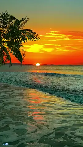 Episode 33 | #scenery do you like sunset by the sea? 🌊🌅🌞 #fypシ #beach #sunset #relax #healing #livewallpapers #foryou Like & follow for more.