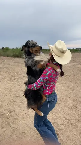No puede faltar mi Jacky en mis competencias🥹💗 #croquetasperron 