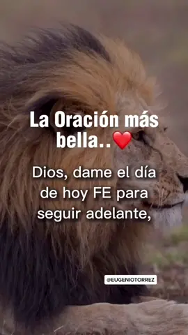 La Oración más bella.❤️ Medítalo | @eugeniotorrez ✍🏻 . . . . . #oración #oracionmilagrosa #mensajedefe #palabradepoder #cristianos #joven #jovencristiano #jovencristiana #mujercristiana #hombrecristiano #reflexiones #eugeniotorrez #musicacristiana 