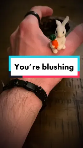 I take you on YouTube walks through NYC now. Tap the camera icon in bio ♥️#asmr #voiceover #fyp #fy #foryou #lindysgarden #deepvoice #podcast #hands #littlebunny #BookTok