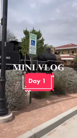 Mini vlog - Day 1 #minivlog #mccormicktrainpark #familyvlog #vlogging  