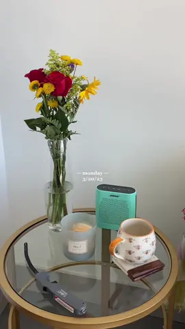 pieces of my day #minivlog #Vlog #dayinmylife #dayinthelife #dailyvlog #lifestylevlog #vlogging #springvlog 