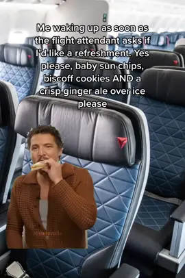 I don’t play about my flight naps or flight snacks. Both are included in the cost of my ticket 🤷🏽‍♀️  #flight #flighthacks #CapCut #cookies #biscoffcookies #sunchips #gingerale #airlinesnacks #SnackTime #yum #delicious #travel #traveltiktok #snacktok #snacks #snackbreak #flightattendant #fyp #airplane #foryou #airplanemode #BlackTikTok #blackgirltiktok #travelhack #trending #trend #sounds #Foodie #foodtiktok 