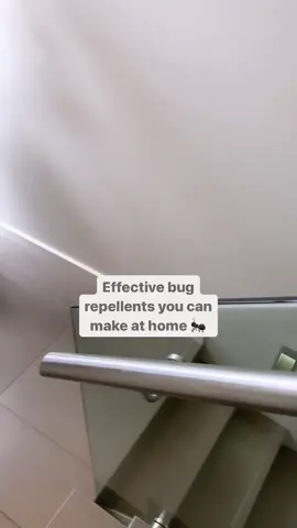 Natural bug repellents you can make at home #diyflyspray #insectrepellant  #antrepellent #fruitflytrap
