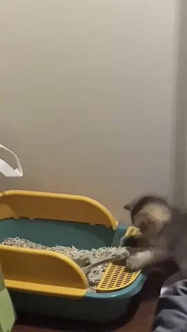 🥰