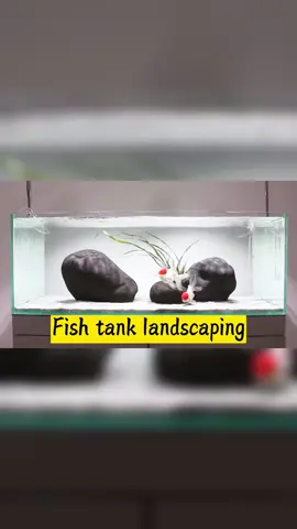 Simple design aquarium landscaping for bigbfish tank #aquascape #landscape #fis #fishtok #rocky #stonedecoration #aquarium #fishlife #tank #homemade #diycraft #fyp