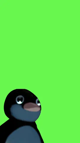 #CapCut Pingu noot noot template green screen #pingu #nootnoot #greenscreen 
