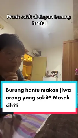 Terharu banget sama Bibib 🦉❤️ #bibibfamily #burunghantu #burunghantulucu #owls 