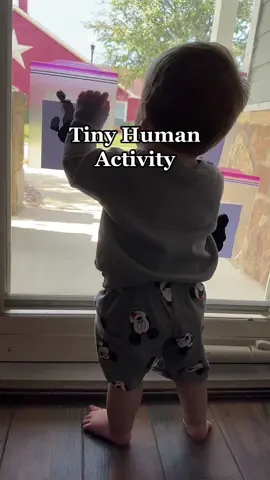 Pablo Picasssooo #oneyearoldactivity #toddleractivities #toddleractivity 