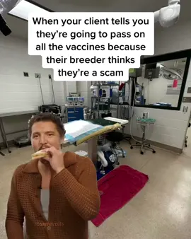 Like cool, cool. But also…no. #vetmed #vethumor #vetstudent #graduateschool #fyp #techlife #techhumor #vettech #veterinary #veterinarymedicine #humphrywholesome 