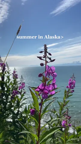 holy moly im excited for summer🥹💚 #alaska #alaskalife #summerinalaska #healingtok #traveltok #alaskatravel #HealingJourney #555 #traveltiktok #alaskaadventuregirl #summer2023 