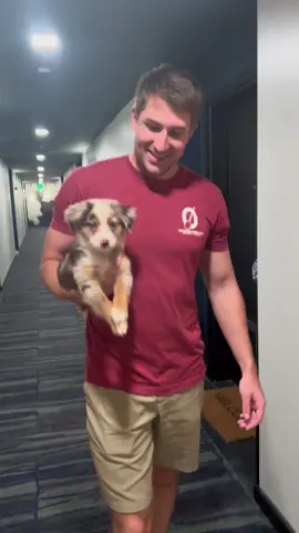 Then and now, always swimming in our arms #littleliam #littleliamaussie #aussie #aussiepuppy #aussiethings #aussiesdoingthings #aussielife #puppy #puppylove #puppytiktok #dog #dogsoftiktok #dogsofttiktok #swimmingdog #paws #cute #funny #funnyvideos #furbaby #miniaussie #miniaustralianshepherd #TikTokPromote #tiktokpromotecontest #tiktokpromotechallenge 