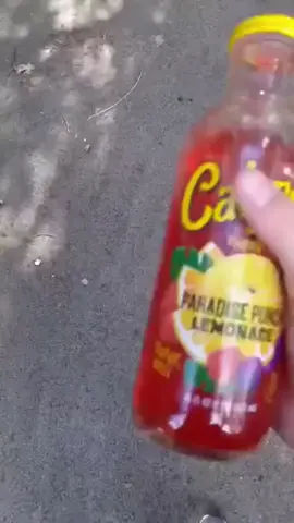 Bouncy Paradise Punch #calypso #paradise #punch #lemonade 
