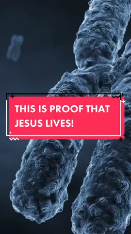 THIS IS PROOF THAT JESUS LIVED! WATCH THE FULL VIDEO: LINK IN BIO! #jesusblood #arkofthecovenant #ronwyatt #mystery #biblical 