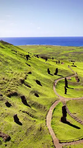 Rano Raraku, the volcano was the main quarry for the massive monolithic sculptures, known as moai, created by the Rano Raraku, the volcano was the main quarry for the massive monolithic sculptures, known as moai, created by the Rapa Nui people. About 95% of the moai are carved from this quarry 🌋🗿🏝️ #rapanui#ranoraraku#easterisland#tongariki#ahutongariki#isladepascua#ilhadepascoa#fy#fyp#viral#travel#worldwalkerz