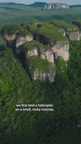 Nat Geo Photographer and Explorer Tom Peschak documents some of the earliest depictions of humans' relationships with aquatic life in the Amazon.💧 Read more at the 🔗 in bio. The #PerpetualPlanet Amazon Expedition was supported by Rolex. #NatGeoTikTok #WorldWaterDay 🎥 by Otto Whitehead and Tom Peschak