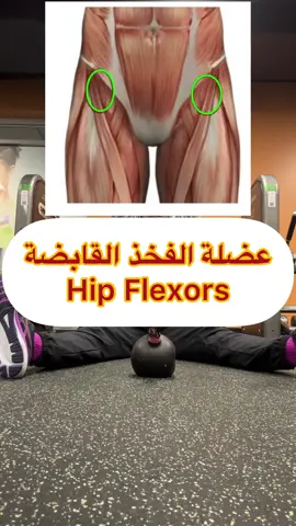 خلونا نتكلم شوي على عضلات الفخذ القابضة او hip flexors  احنا بالعاده هالعضلات نسوي لهم سترتشنغ فقط لكن ما ندربهم و هم عضلات جدا محتاجين تدريب و تقوية نظرا لمكانهم الحساس بالجسم لانهم عضلات باتجاه مقدمة الورك و تساعد على ثني الورك و شوفو اذا حدث إجهاد لمفصل الورك عادت تكون العضلات ضعيفة فالي يصير تمزق بهالعضلات مما يسبب آلام مبرحة بالورك و يمتد للظهر و الفخذين و احيانا يكون بالركبة كذلك، او يكون تمزق او تمدد بالاربطة للورك. هناك العديد من الحركات لتقوية عضلات الفخذ القابضة و هي 5 عضلات اذا اردت البحث عنهم و توسيع مداركك و هي كالآتي : iliacus, psoas, pectineus, rectus femoris, and sartorius. لكن اليوم جبت لكم الحركة هذه و انتظروني بحركات ثانية. العب التمرين بتدرج بداية ممكن ما تحط شيء فقط حاول تحريك رجلك للجهة الثانية فقط ( مع رفع يديك للاعلي و حافظ على استقامة الظهر )  بعدها قم بترفيع رجلك نصف المسافة  بعدها حاول ترفيع الرجل كاملا  بعدها ضع شي لكي ترفع رجلك عليه ممكن قارورة ماء صغيره و هكذا تدرج 3-5 جولات من 6-20 مرة حسب مستواك  اغلب الناس قادرين على القيام بهذا التمرين (لمن لا يستطيع الجلوس على الارض ممكن يسوي التمرين على فراشه او على كرسيين مقابلين بعض مع مساعدة شخص ثاني. و احبكم كوتش انيسة 💗💗💗 #ksa #kuwait #ua#palestinee #qatar #oman #bahrain #iraq  #morroco #algeria #libya #tunisia #sudan #Fitness #healthylifestyle #motivation #personaltrainer #canada #coach_anissa #Usa #Vancouver #BC 