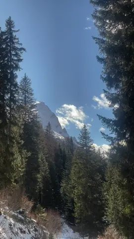 A few more winter views, we are not done with winter in the mountains. ❄️⛄️🌲 #swissalps #inlovewithswitzerland #swissmountains #swiss_views #wandernschweiz #naturevideography #naturevideocreator #hikingtiktok #winterlandscape #winter #snow #puremountain 