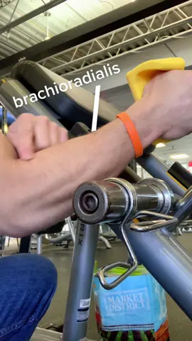 Having a strong brachioradialis is crucial for success in arm wrestling, as it is one of the primary muscles used during the match. If your brachioradialis is weak, you may not be able to generate enough force to pin your opponent's hand to the table. Therefore, it is important to incorporate “Cup” exercises into your training regimen if you want to excel at arm wrestling.