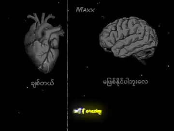 8 letters #foryou #music #tiktok #alightmotion_edit #xyzbca #tiktokmyanmar2023 #fyp #fyppppppppppppppppppppppp #songedit #foryourpage 