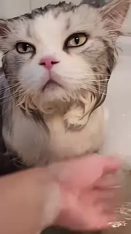 🥰