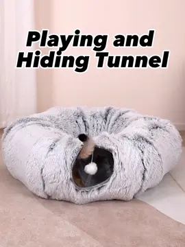 Give your feline the best of both worlds with our 2-in-1 Cat Bed and Tunnel! 😻 #catbed #cattunnel #catlover #kitty #cats #fyp #foryou #catsoftiktok 