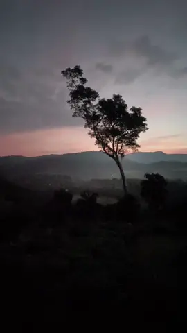 Nuba oya gena yana hadawatha mage❤️🌿
