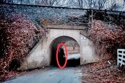 The Bunnymanan: an insane murderer that has reports of killings or sightings only on Halloween at 12:00 under a bridge, it is said that if you stay there beside the bridge in the town of Virginia, Colchester, you will see him. After 12:00, there will be a bright white light in the bridge, under the white light; will appear a humanoid murderous bunny#bunnyman#crimestory#legend#myth#fakebodyy⚠️#fy#fyp#edutok 