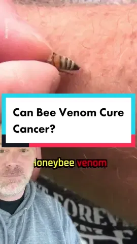 #duet with @hashem.alghaili EPISODE 1 | 🐝  … VERY IMPORTANT TO UNDERSTAND THESE ARE ANIMAL MODELS NOT HUMAN TRIALS!  … Promising data but we have a long way to go.  … Bee venom is used by many to treat health problems. … It is by many for treating inflammation and central nervous system diseases.  … #bee #bees #cancer #treatment #brownsantimy