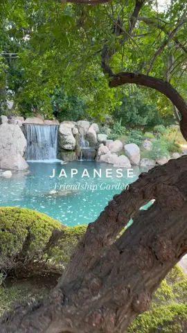 Japenese Friendship Garden in downtown Phx is a hidden gem. Come walk along the tranquil gardens surrounded by waterfalls and koi fish making a great date night or relaxing family outing!  Open Tuesday - Sunday from 9-4pm  The prices run about $10 for adults and $7 for kids…. Under 6 is free *FIRST FRIDAYS ARE FREE 5-7:30pm #japenesefriendshipgarden #phoenix #arizona #downtownphx #visitphoenix #thingstodophoenix #freethingstodo #arizonacheck #visitarizona #az #aztravel #travelguide #phoenixaz #azplaces #phoenixarizona#phoenixarizona #japenesegarden #phxaz 😍#phoenixtravel #thingstosee #travelarizona #ajewelwanders 