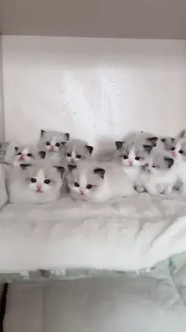 🥰