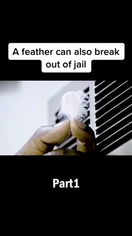 A feather can also break out of jail #movie #fyp 