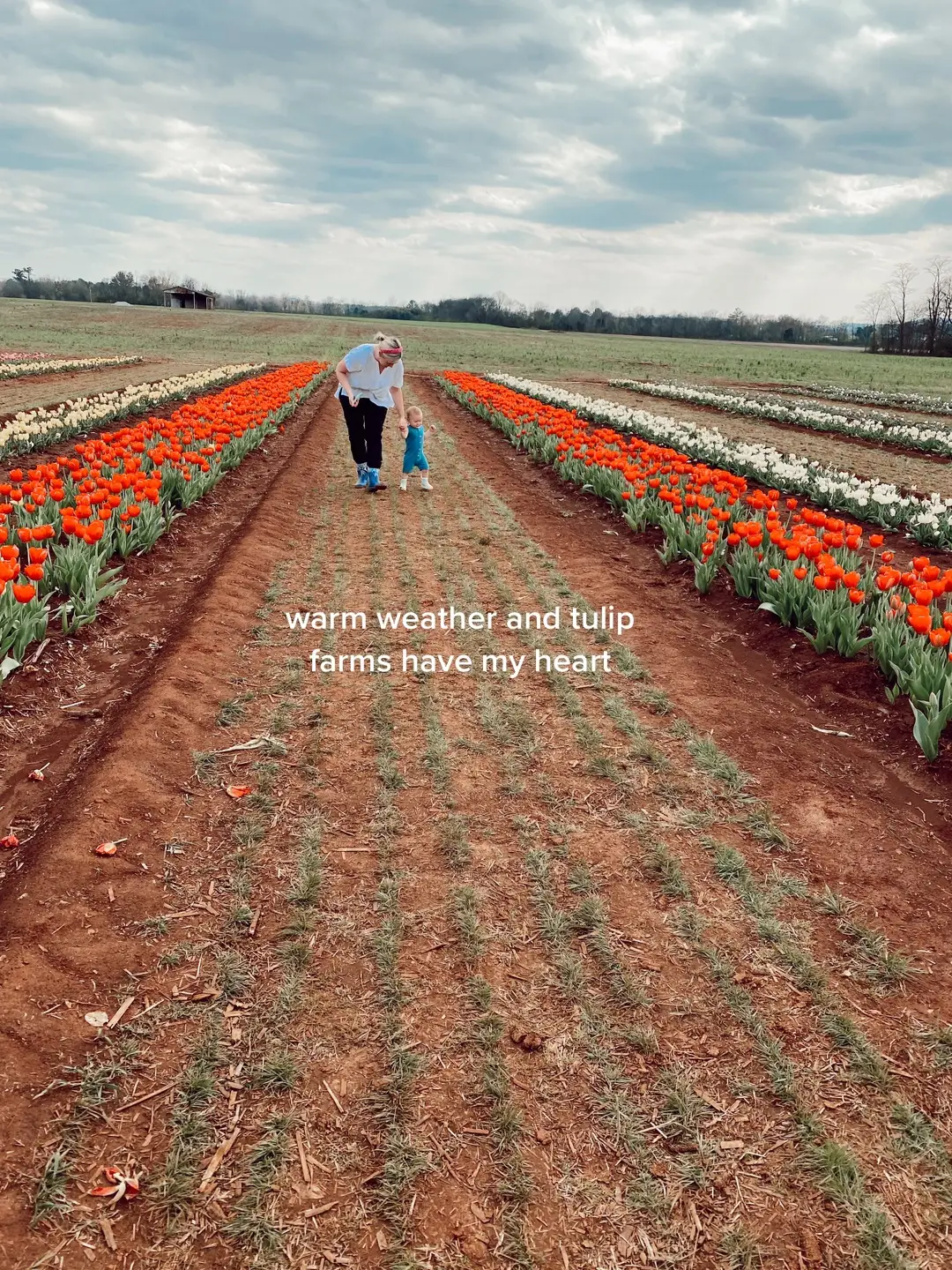 his rain boots in the second picture 🥹 #babyadventures #tulipfarm #momandson #picturecarousel #warmweather #happyspring #momlife #toddlermom #toddleradventures 