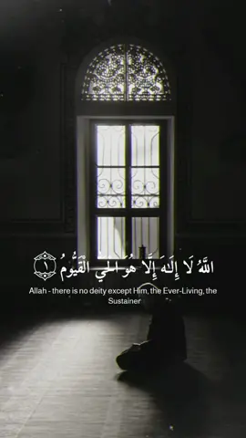 Quran / Al-Imran 🪐 #quran #hakim #imran #beautiful #arabe #recitation #music #muslim #religion #peace #sound #best 