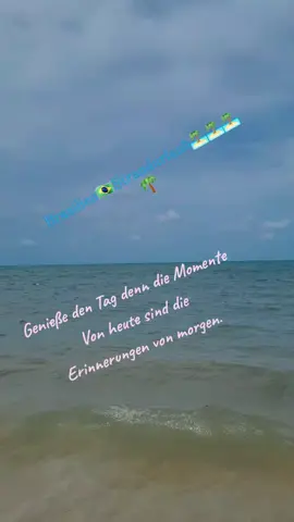 #🇧🇷⛱️🍹 🏝🌴🍹💫🌞