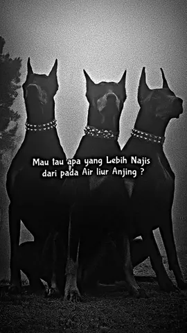 mau tau apa yang lebih najis dari pada air liur anjing? #fypシ #sindirankeras #darkstory #darkstory🍭 