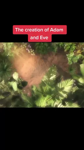 God created Adam and Eve #adam #eve #fyp #fypシ #goviral #trending 