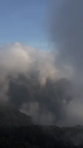 يقول تعالى: