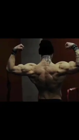 Daniels Laizans🔥 #static #статика #sesh #рек #full #рекомендации #workout #calihstenics #streetworkout #edit #мотивация #motivation 