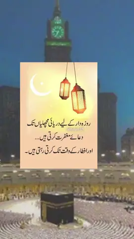 #beautifulnasheed #fyp #muslimtiktok #foryoupage #ramadanstatus #tabbasam321 #☝🏽💞🕋💞🤲🏽 