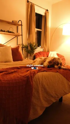 Night routine 3•25•23 ✨🌌🕯️ #aesthetic #minivlog #nightroutine #skincareroutine #thatgirkaesthetic 